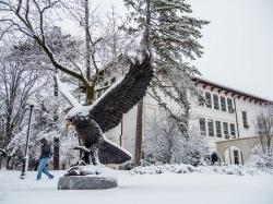 雪中的校园照片